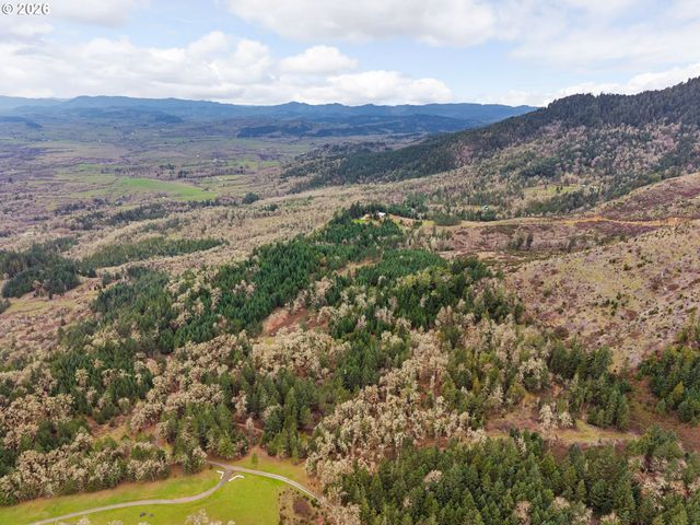 864 LARKSPUR Ln, Oakland, OR 97462