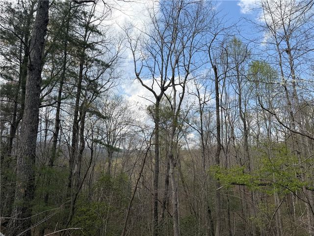 45 Emerald Crest Lane, Cleveland, SC 29635