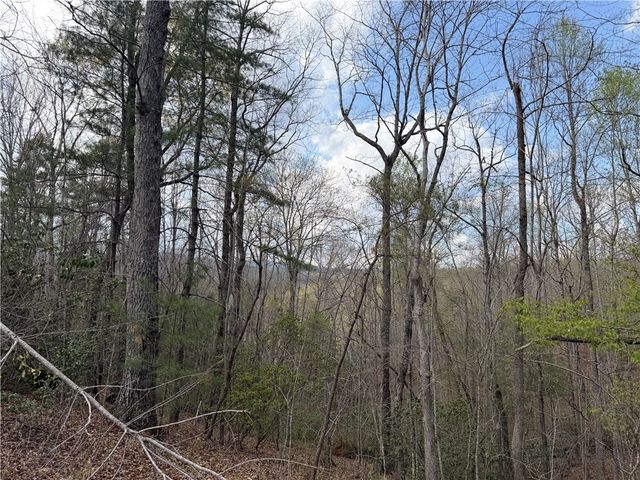 45 Emerald Crest Lane, Cleveland, SC 29635
