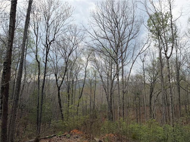 45 Emerald Crest Lane, Cleveland, SC 29635