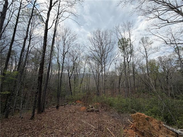45 Emerald Crest Lane, Cleveland, SC 29635