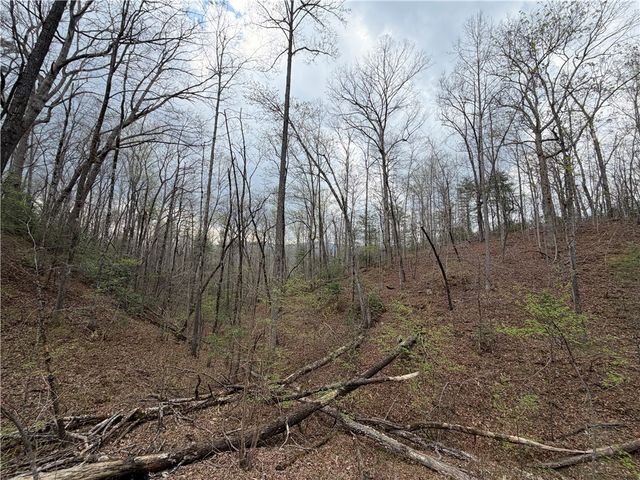 45 Emerald Crest Lane, Cleveland, SC 29635