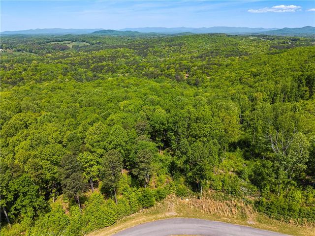 LT 112 Twisted Oak Road, Talking Rock, GA 30175
