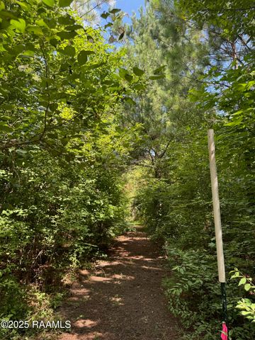 Tbd Lot 5 Frozard Road 5, Arnaudville, LA 70512