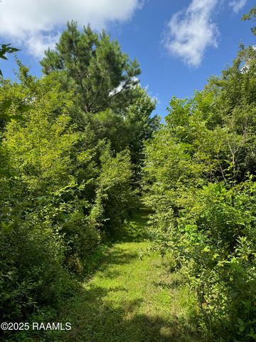 Tbd Lot 5 Frozard Road 5, Arnaudville, LA 70512