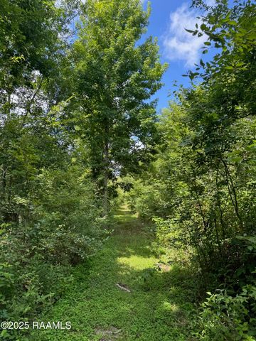 Tbd Lot 5 Frozard Road 5, Arnaudville, LA 70512