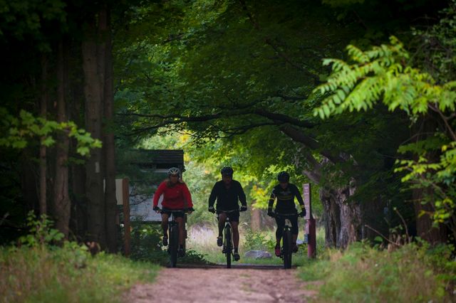 3792 Woodgate Drive, East Bay Twp, MI 49686