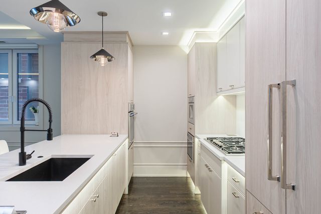 1540 N North Park Avenue 3S, Chicago, IL 60610