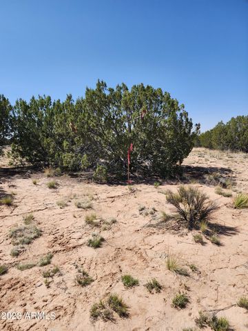 000 N TBD Drive 180-B, St Johns, AZ 85936