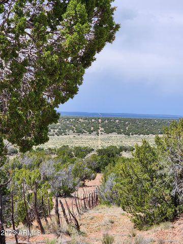 000 N TBD Drive 180-B, St Johns, AZ 85936