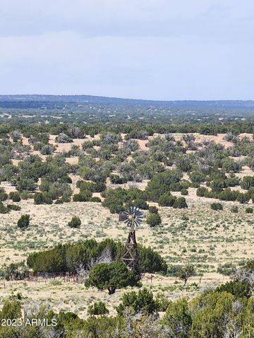 000 N TBD Drive 180-B, St Johns, AZ 85936