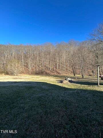 165 Dove Lane, Gray, TN 37615