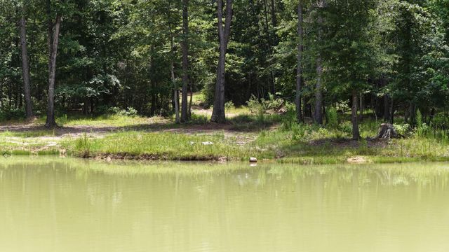 856 State Highway 150, New Waverly, TX 77358