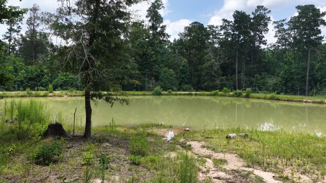 856 State Highway 150, New Waverly, TX 77358
