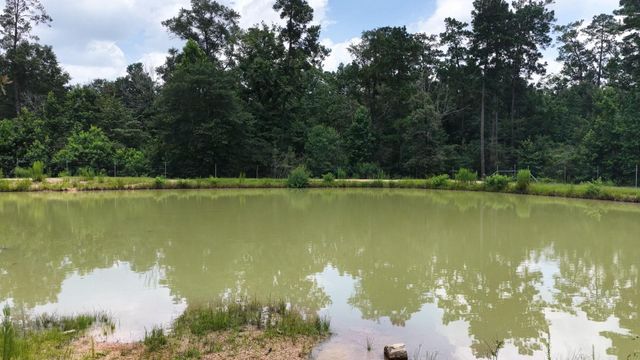856 State Highway 150, New Waverly, TX 77358