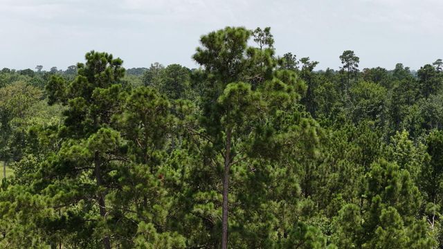 856 State Highway 150, New Waverly, TX 77358