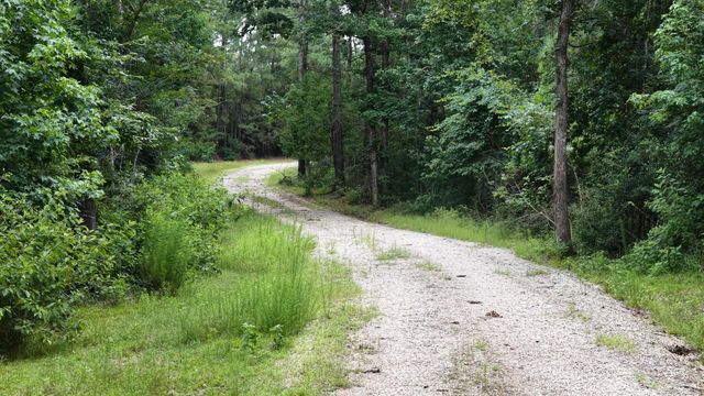 856 State Highway 150, New Waverly, TX 77358