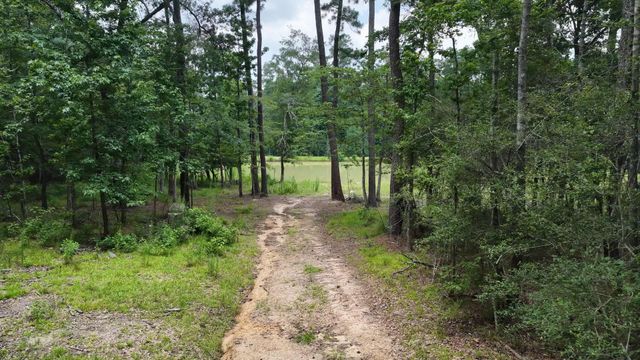 856 State Highway 150, New Waverly, TX 77358
