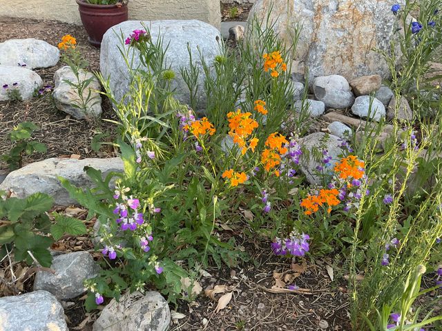 5501 Kachina Street NW, Albuquerque, NM 87120