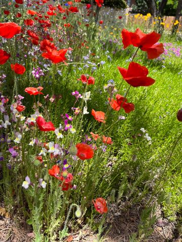 5501 Kachina Street NW, Albuquerque, NM 87120