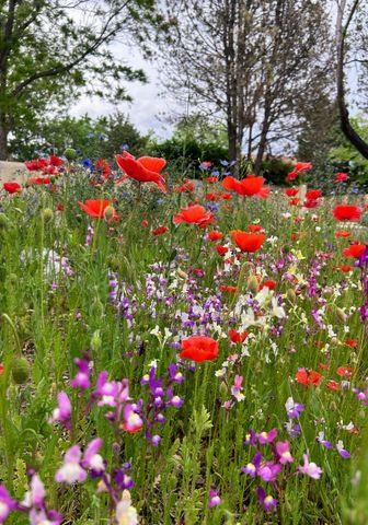 5501 Kachina Street NW, Albuquerque, NM 87120
