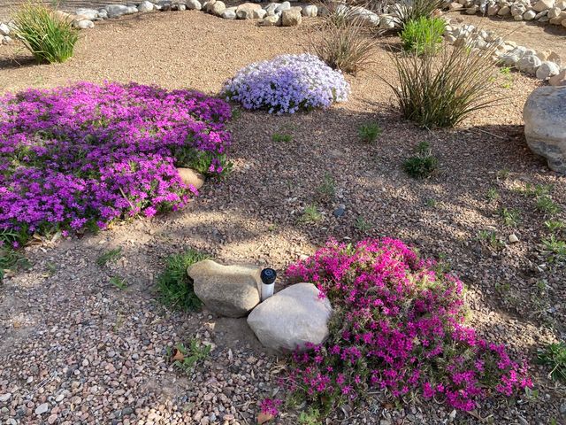 5501 Kachina Street NW, Albuquerque, NM 87120