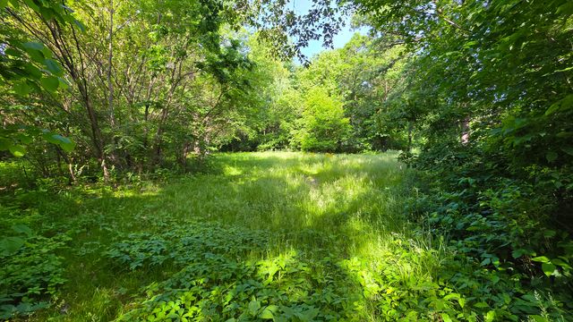 Lot 13 S Egyptian Trail, Monee, IL 60449