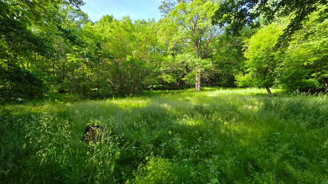 Lot 13 S Egyptian Trail, Monee, IL 60449