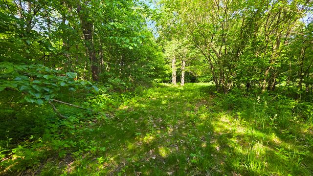 Lot 13 S Egyptian Trail, Monee, IL 60449