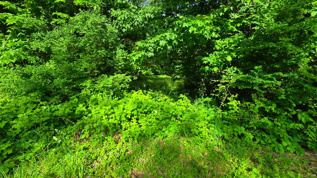 Lot 13 S Egyptian Trail, Monee, IL 60449