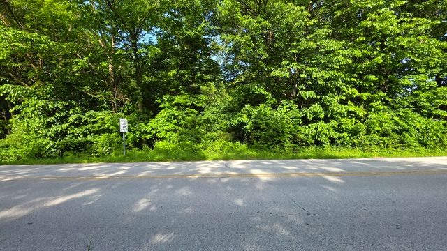 Lot 13 S Egyptian Trail, Monee, IL 60449