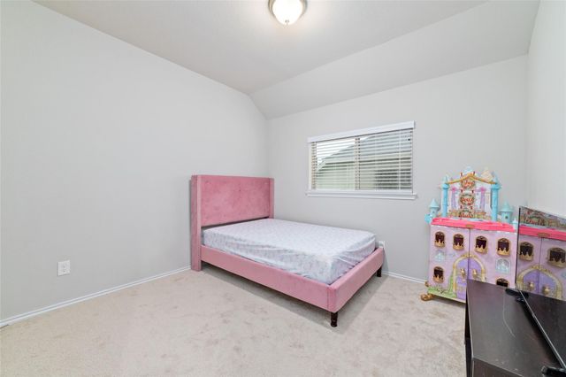 8807 Star Gaze Court, Richmond, TX 77407