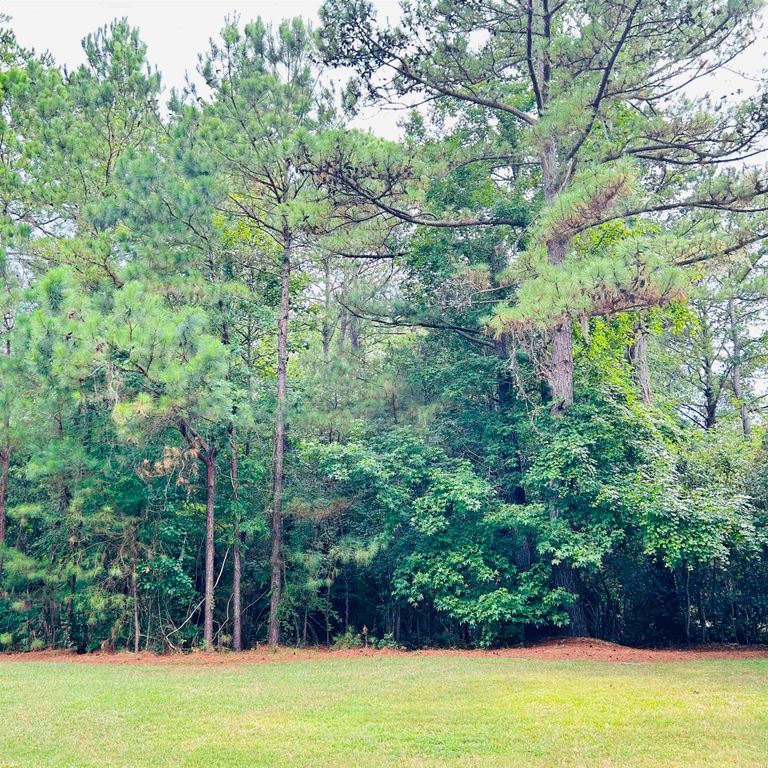 18 Monarch Ct., Pawleys Island, SC 29585 — photo 2