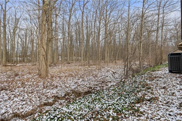 33112 Cedar Branch Circle, North Ridgeville, OH 44039