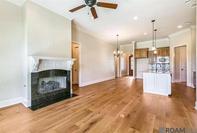 12186 Deventer Dr, Geismar, LA 70734