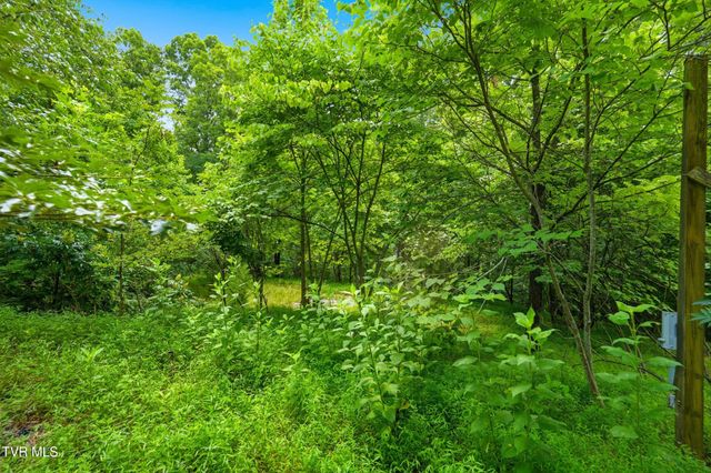 484 Carousel Pvt Drive, Kingsport, TN 37660