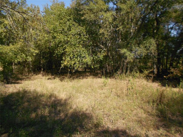 377 Crooked RD, Dale, TX 78616
