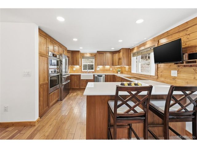 26209 Wild Flower Trl, Evergreen, CO 80439