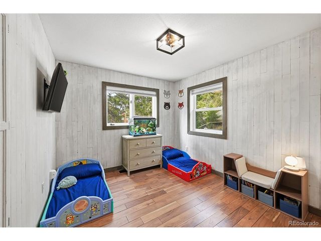 26209 Wild Flower Trl, Evergreen, CO 80439