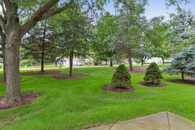 2943 STONEWATER Drive 2943, Naperville, IL 60564