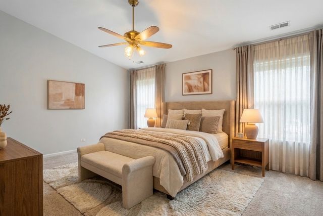 2943 STONEWATER Drive 2943, Naperville, IL 60564