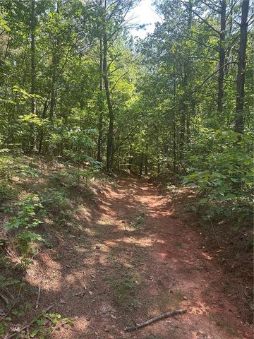 40 Patriot View Drive, Dahlonega, GA 30533