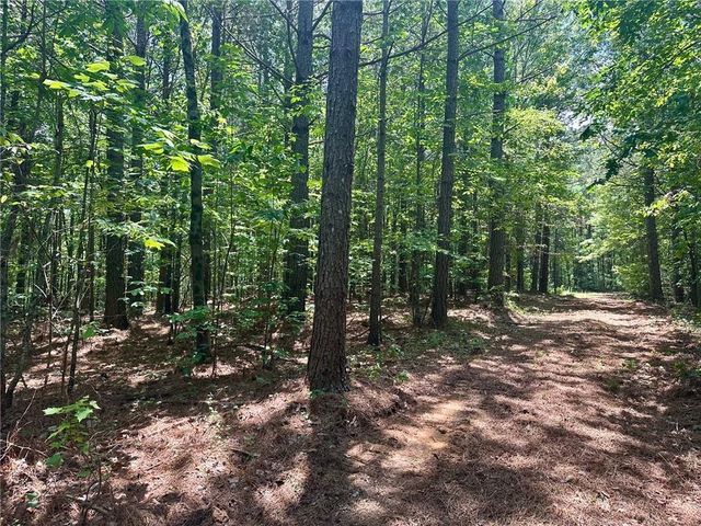 40 Patriot View Drive, Dahlonega, GA 30533