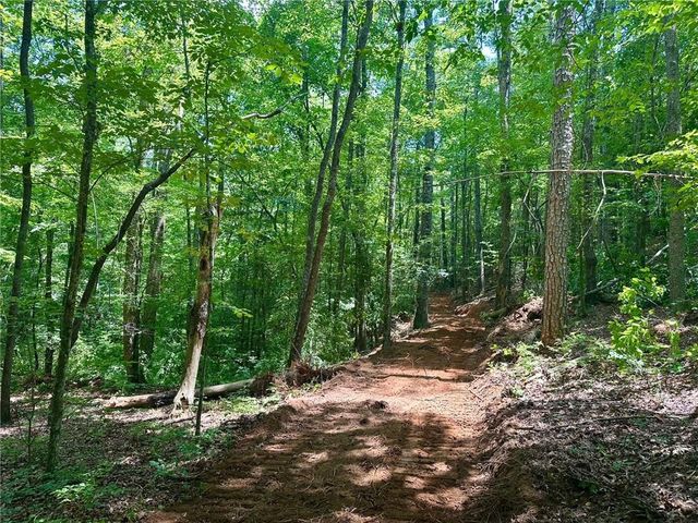 40 Patriot View Drive, Dahlonega, GA 30533