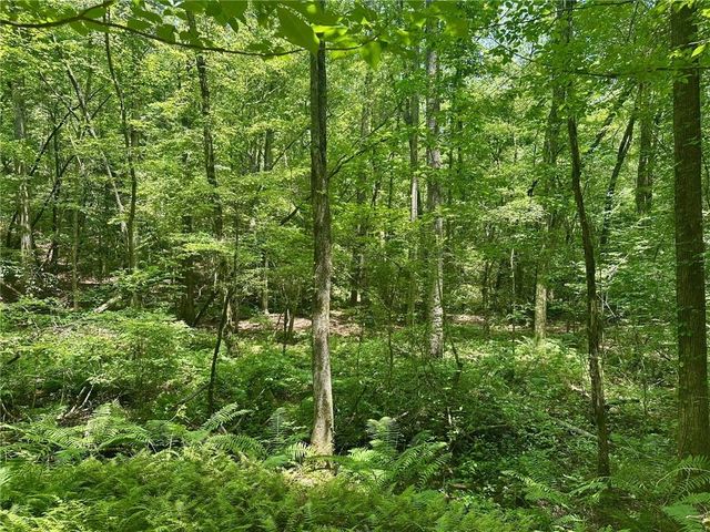 40 Patriot View Drive, Dahlonega, GA 30533