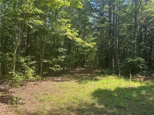 40 Patriot View Drive, Dahlonega, GA 30533