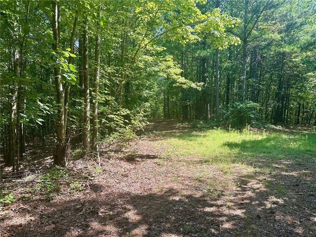 40 Patriot View Drive, Dahlonega, GA 30533