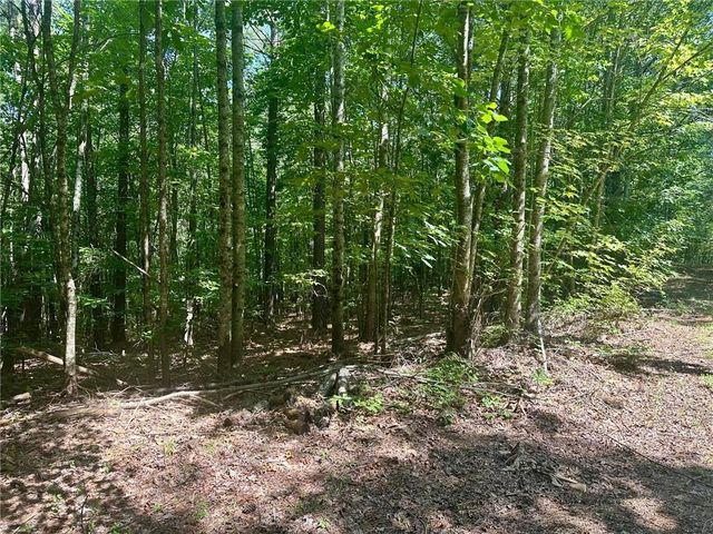 40 Patriot View Drive, Dahlonega, GA 30533