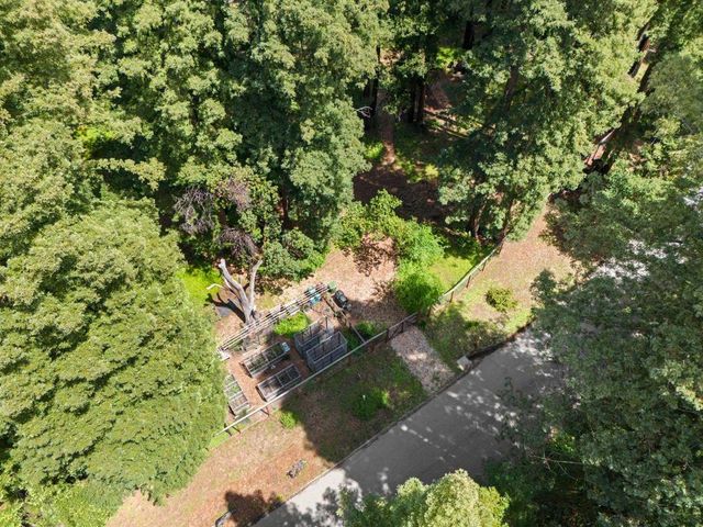 266 Coffeeberry Drive, Boulder Creek, CA 95006