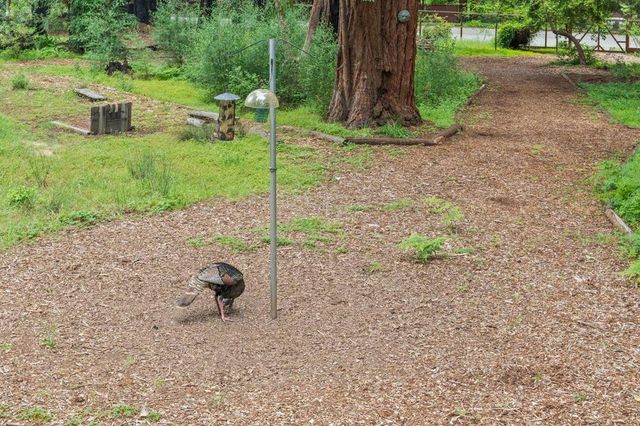 266 Coffeeberry Drive, Boulder Creek, CA 95006